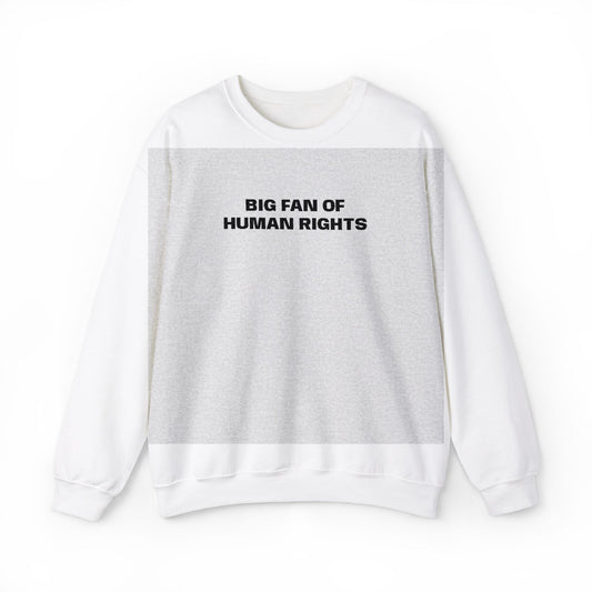 Big Fan of Human Rights Embroidered Sweatshirt