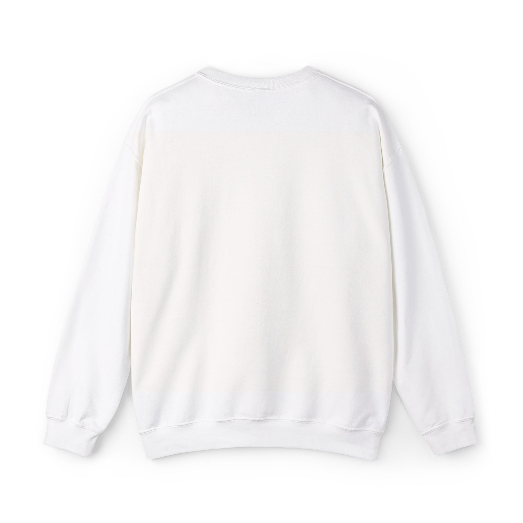 Big Fan of Human Rights Embroidered Sweatshirt
