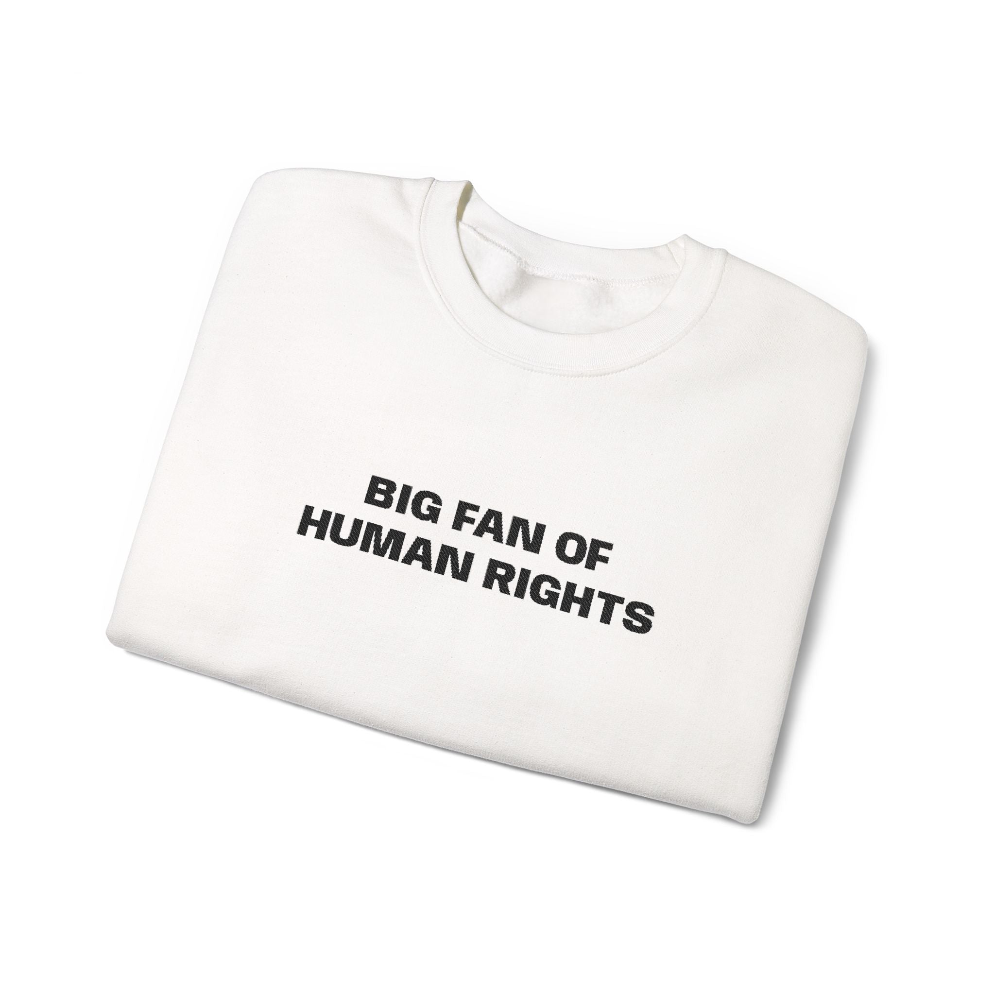 Big Fan of Human Rights Embroidered Sweatshirt