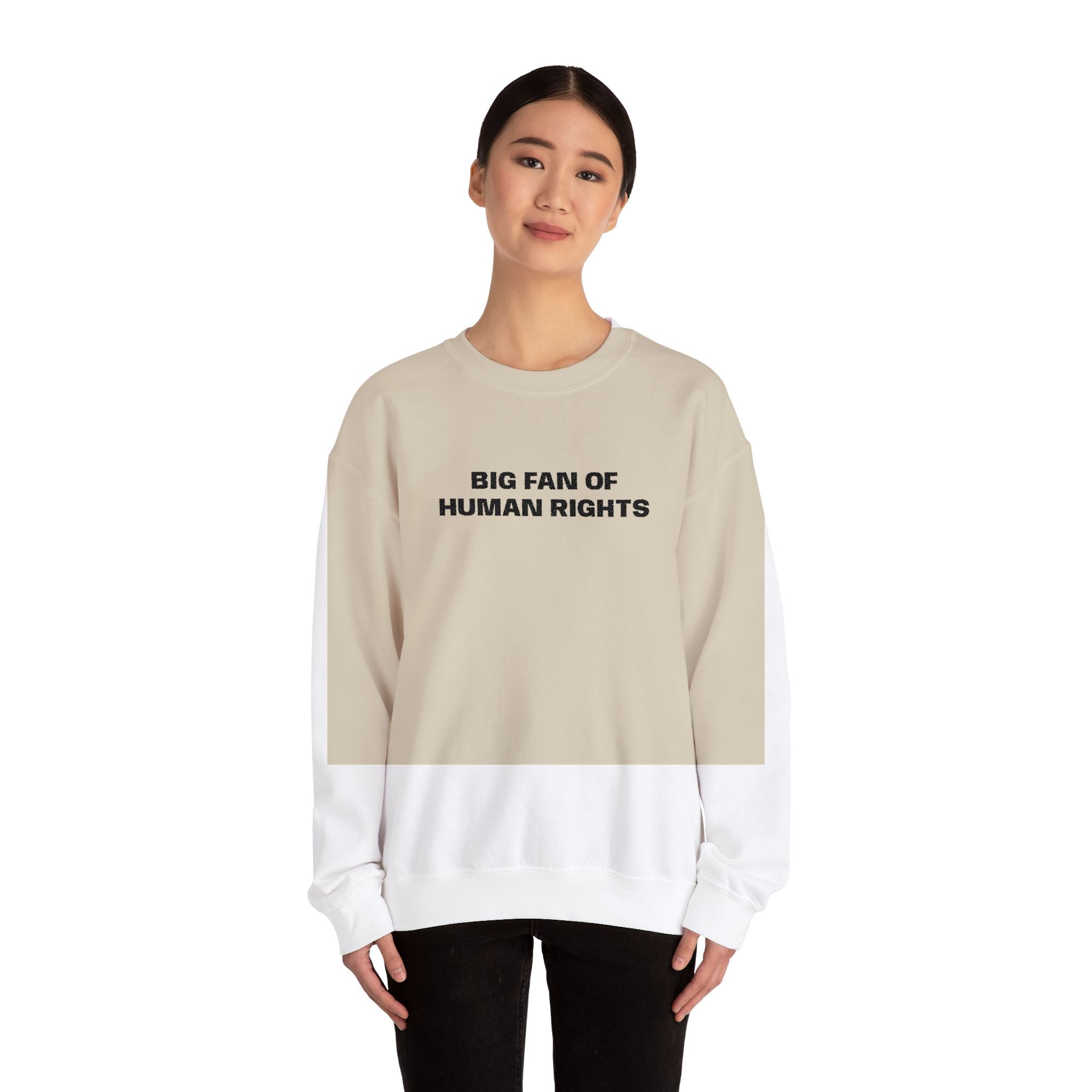 Human Rights Crewneck Sweatshirt — "Big Fan of Human Rights" Casual Pullover
