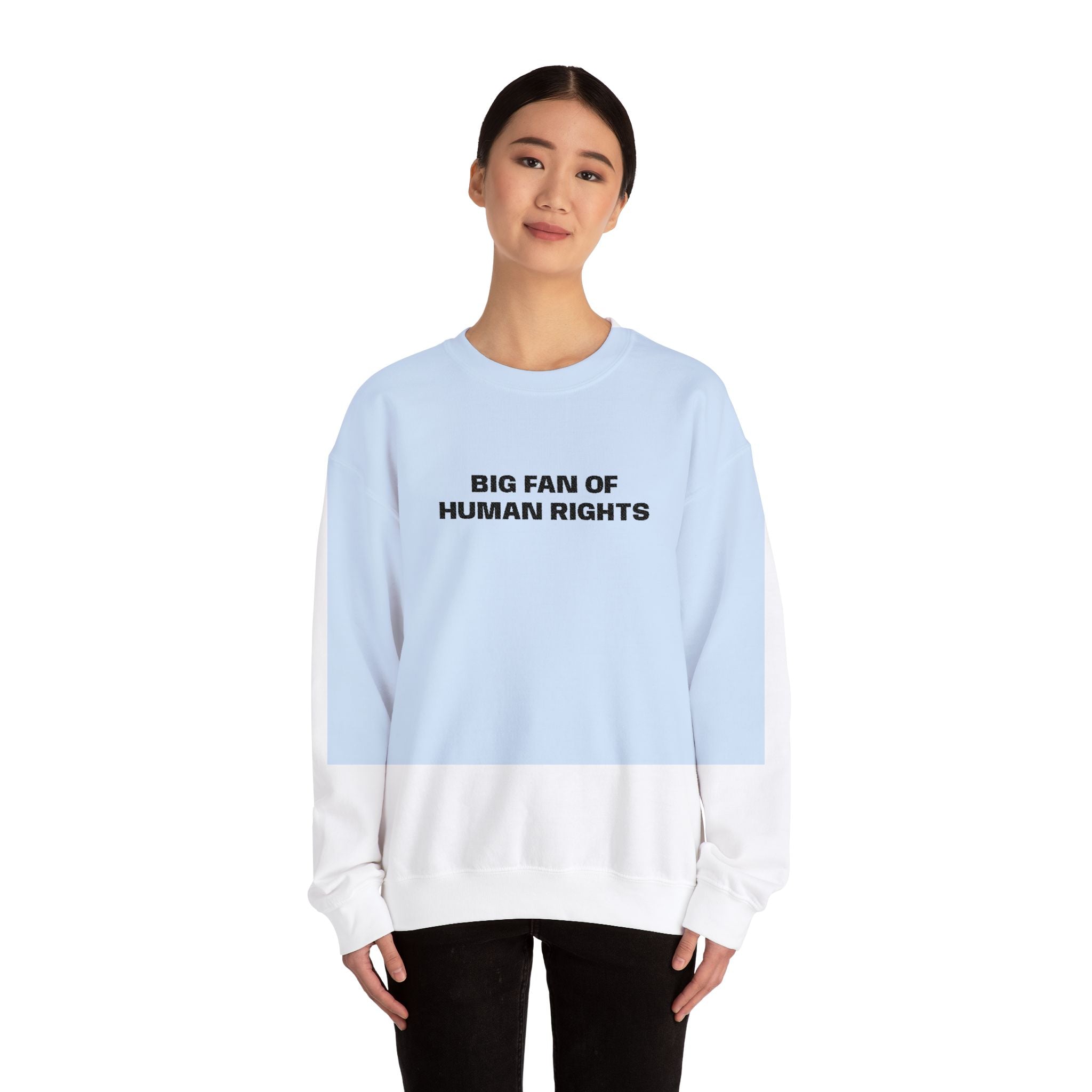 Big Fan of Human Rights Embroidered Sweatshirt