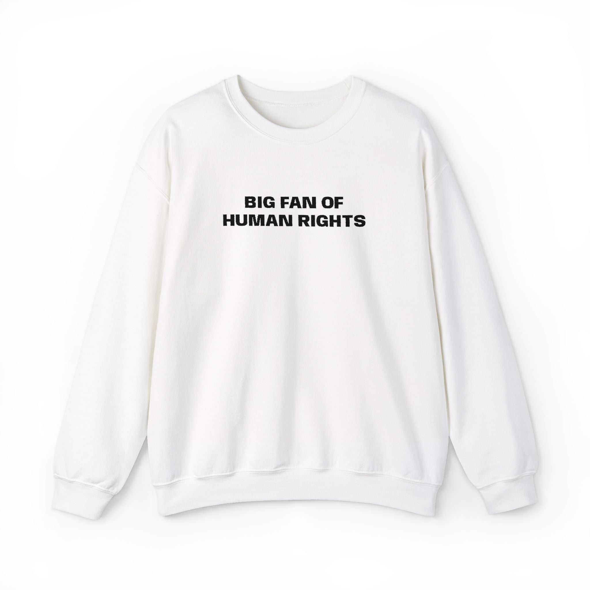Human Rights Crewneck Sweatshirt — "Big Fan of Human Rights" Casual Pullover