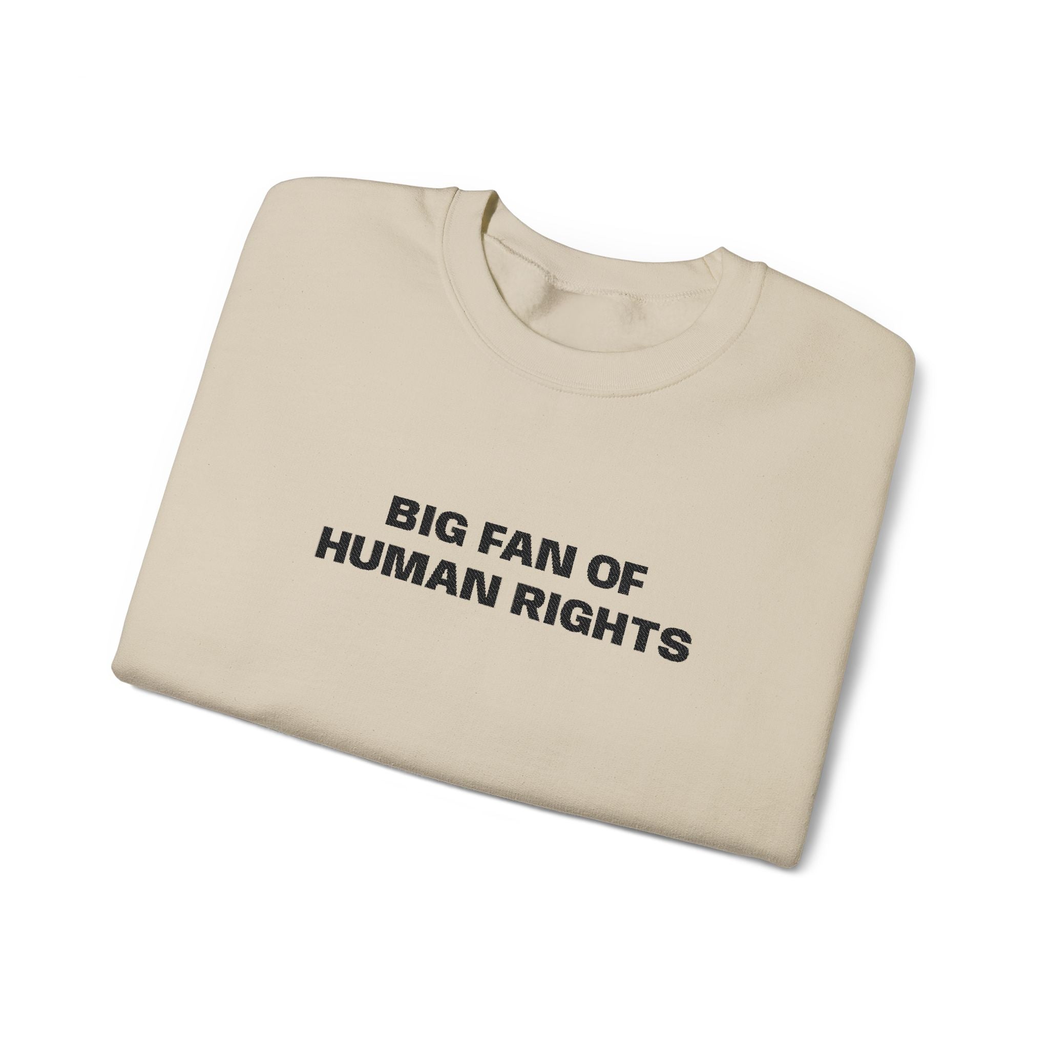 Human Rights Crewneck Sweatshirt — "Big Fan of Human Rights" Casual Pullover