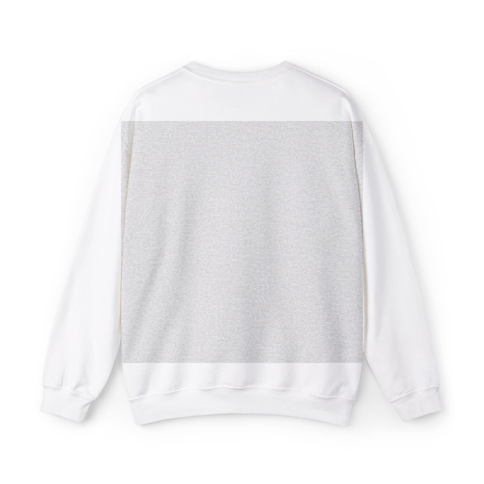 Big Fan of Human Rights Embroidered Sweatshirt