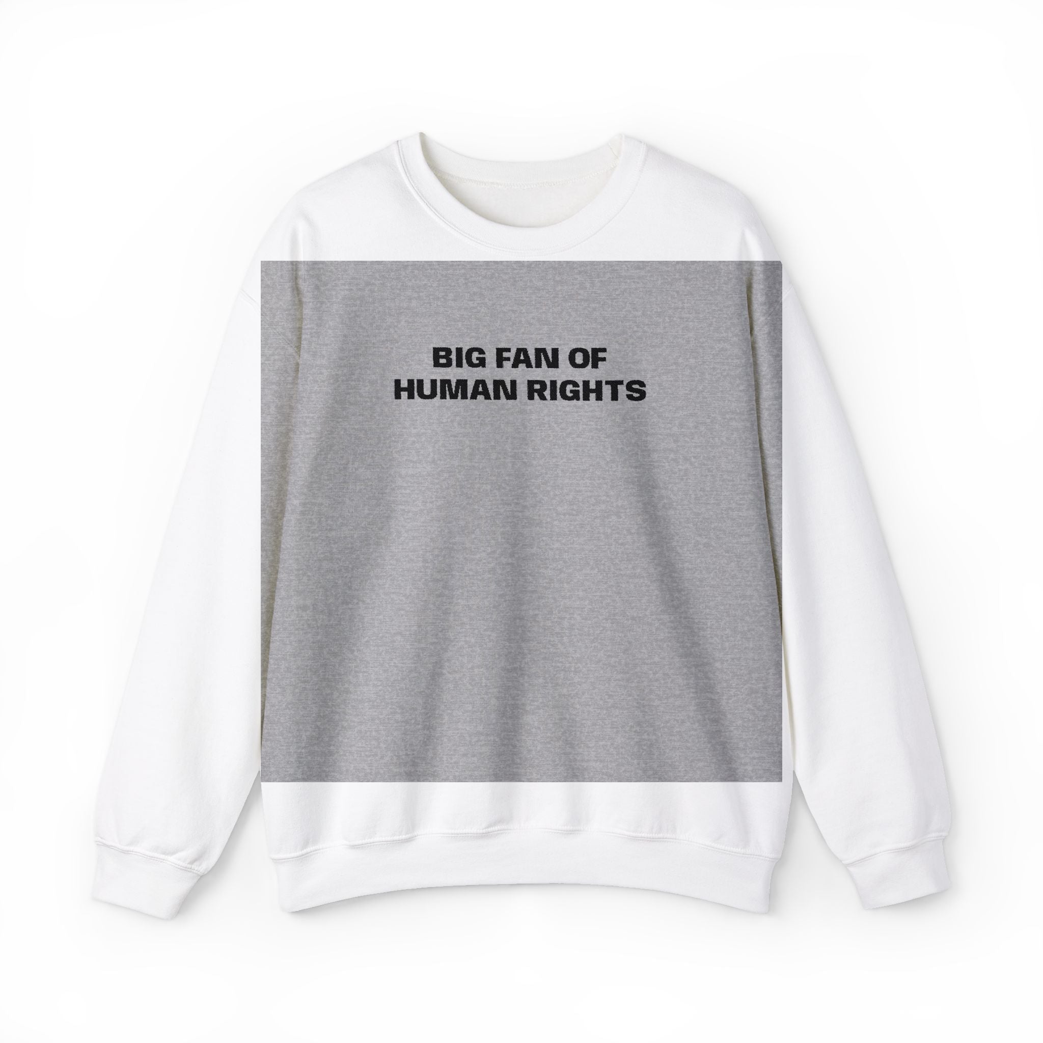 Human Rights Crewneck Sweatshirt — "Big Fan of Human Rights" Casual Pullover