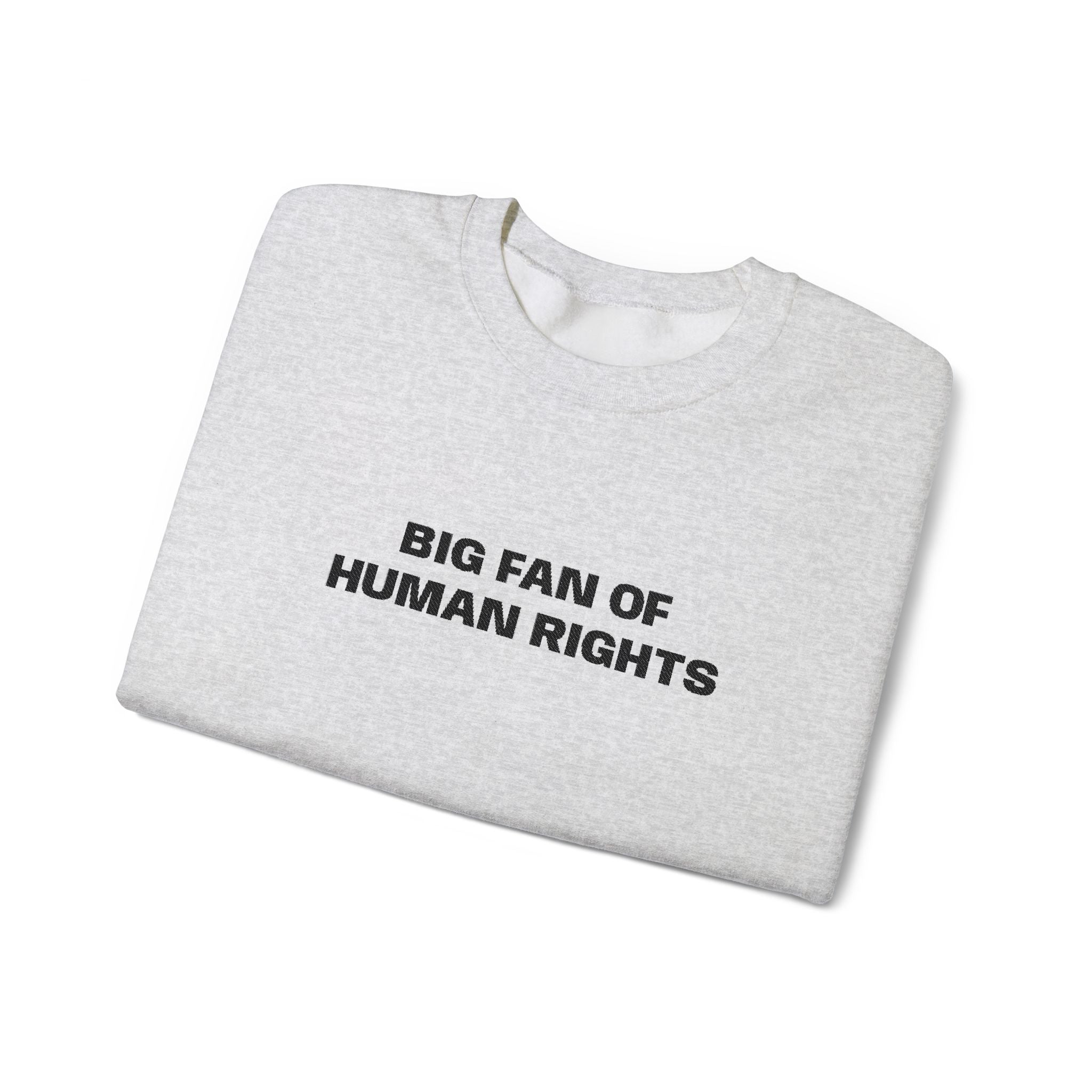Big Fan of Human Rights Embroidered Sweatshirt