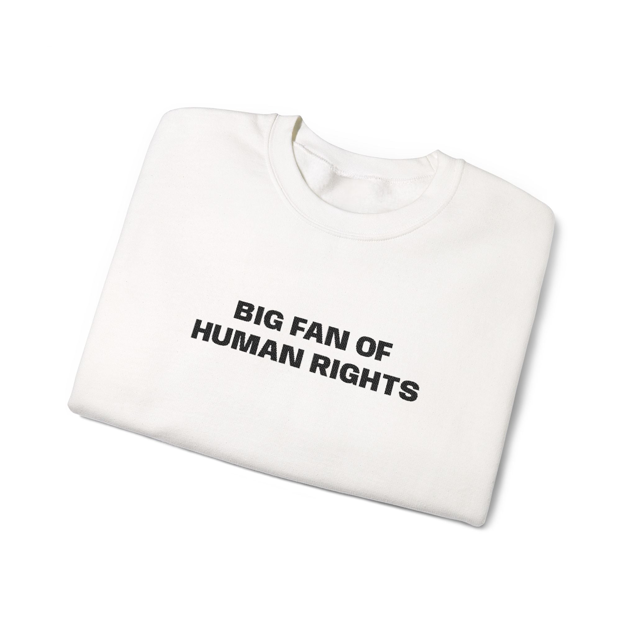 Human Rights Crewneck Sweatshirt — "Big Fan of Human Rights" Casual Pullover
