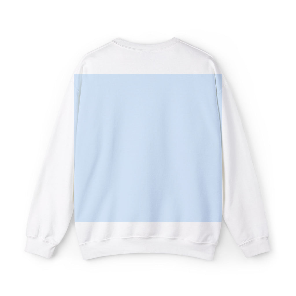 Big Fan of Human Rights Embroidered Sweatshirt