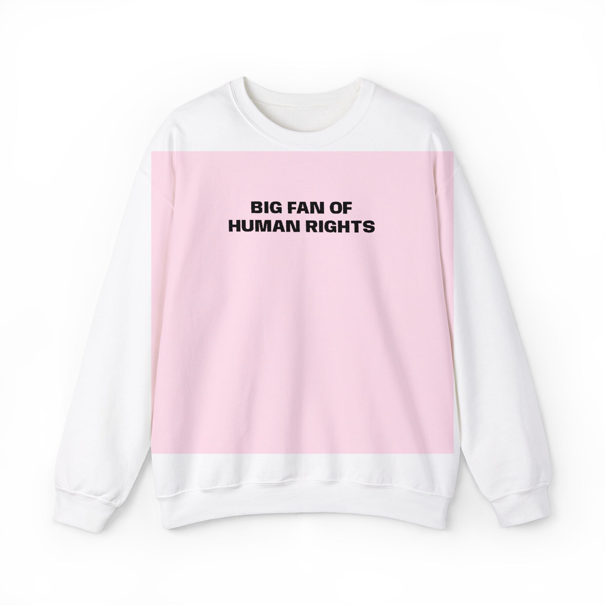 Human Rights Crewneck Sweatshirt — "Big Fan of Human Rights" Casual Pullover