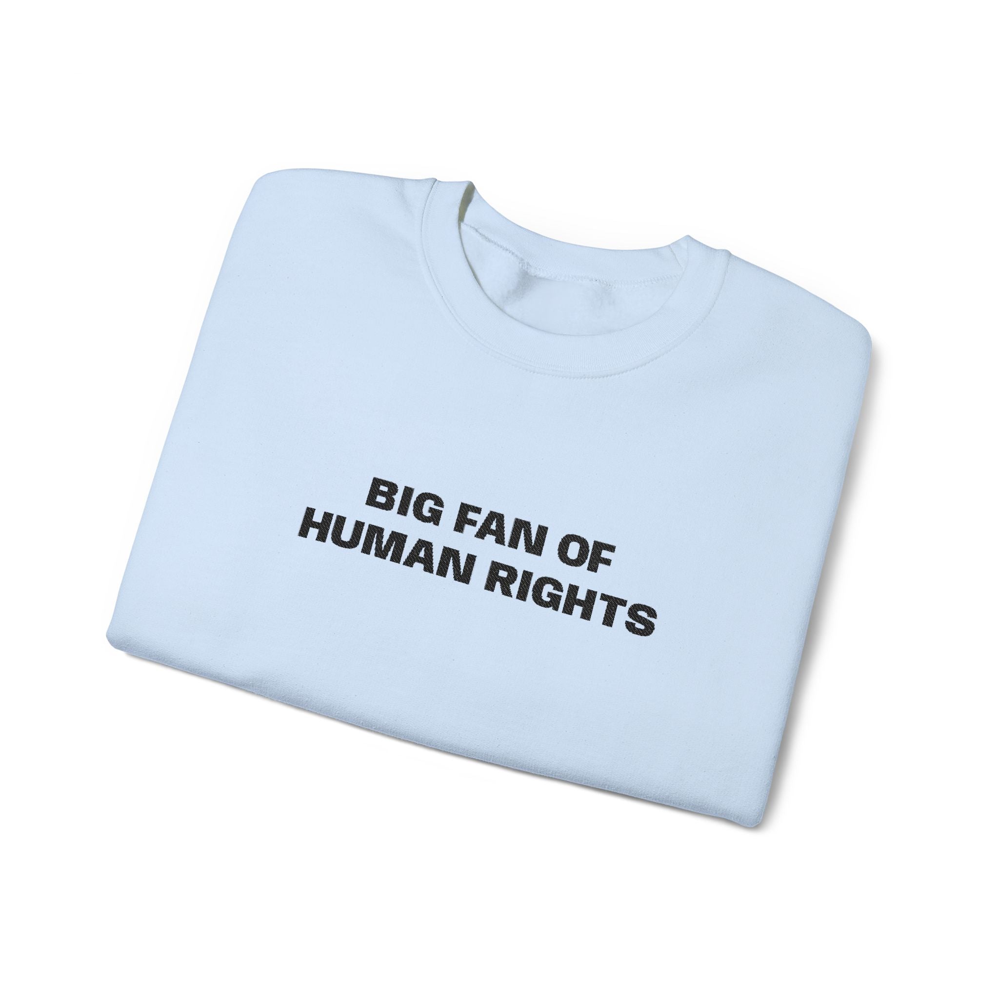 Big Fan of Human Rights Embroidered Sweatshirt